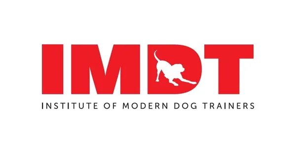 IMDT Logo